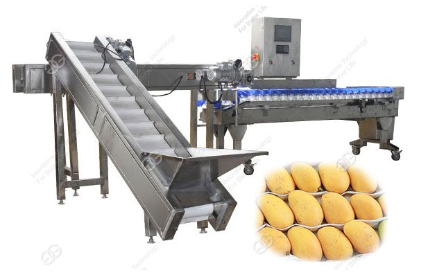 Automatic Mango Weight Sorting Machine For Sale