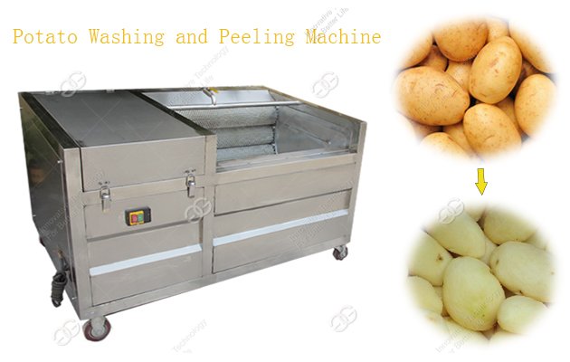 potato washing and peeling machine