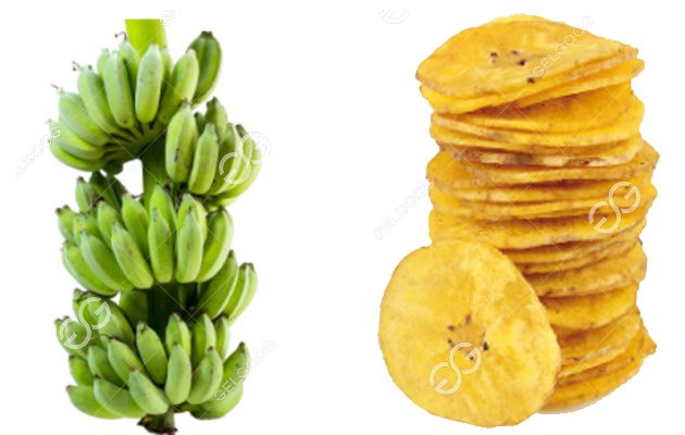 plantain chips processing