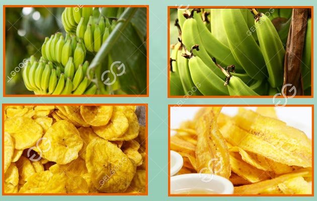 How are plantain chips manufactured?